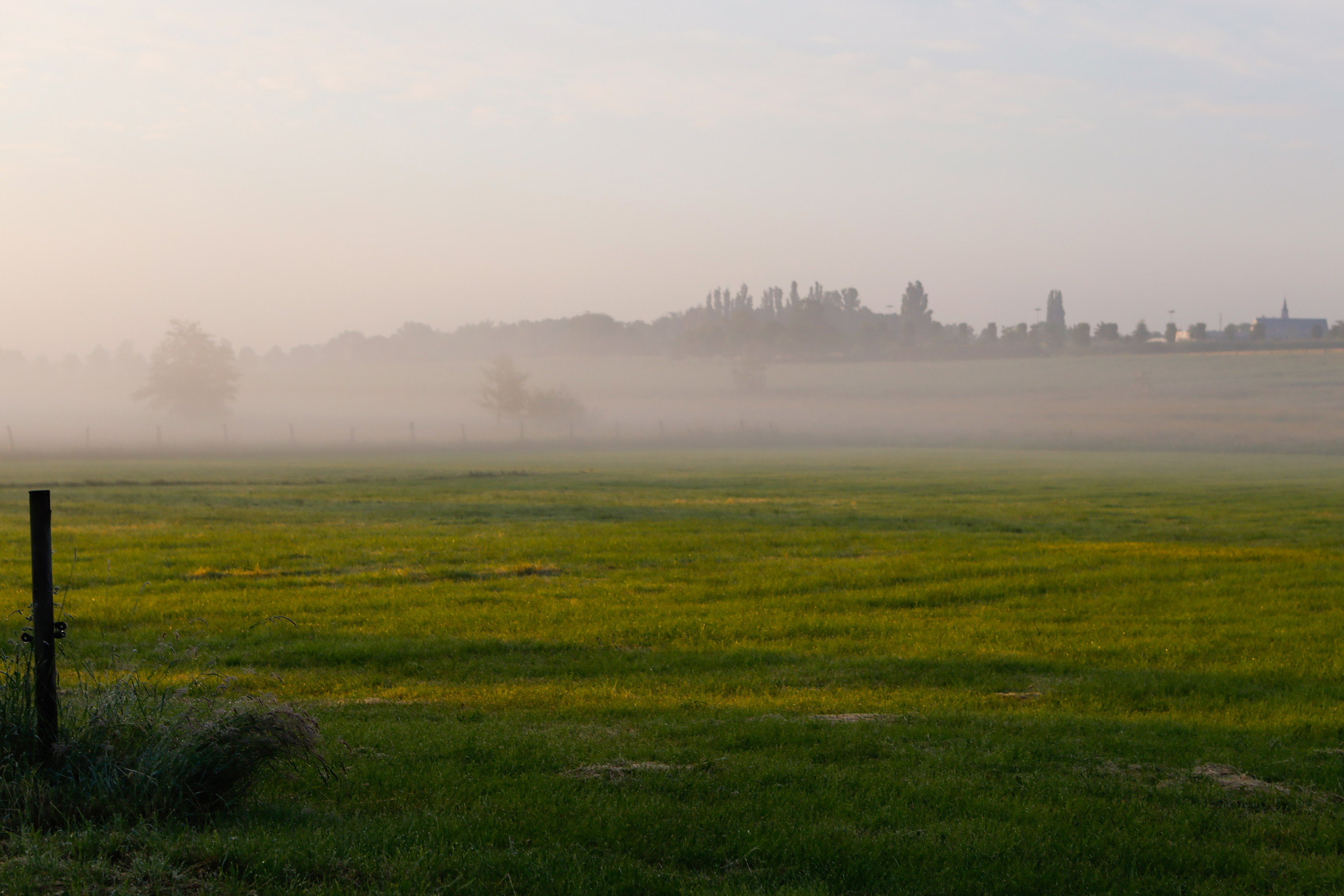 Bodennebel