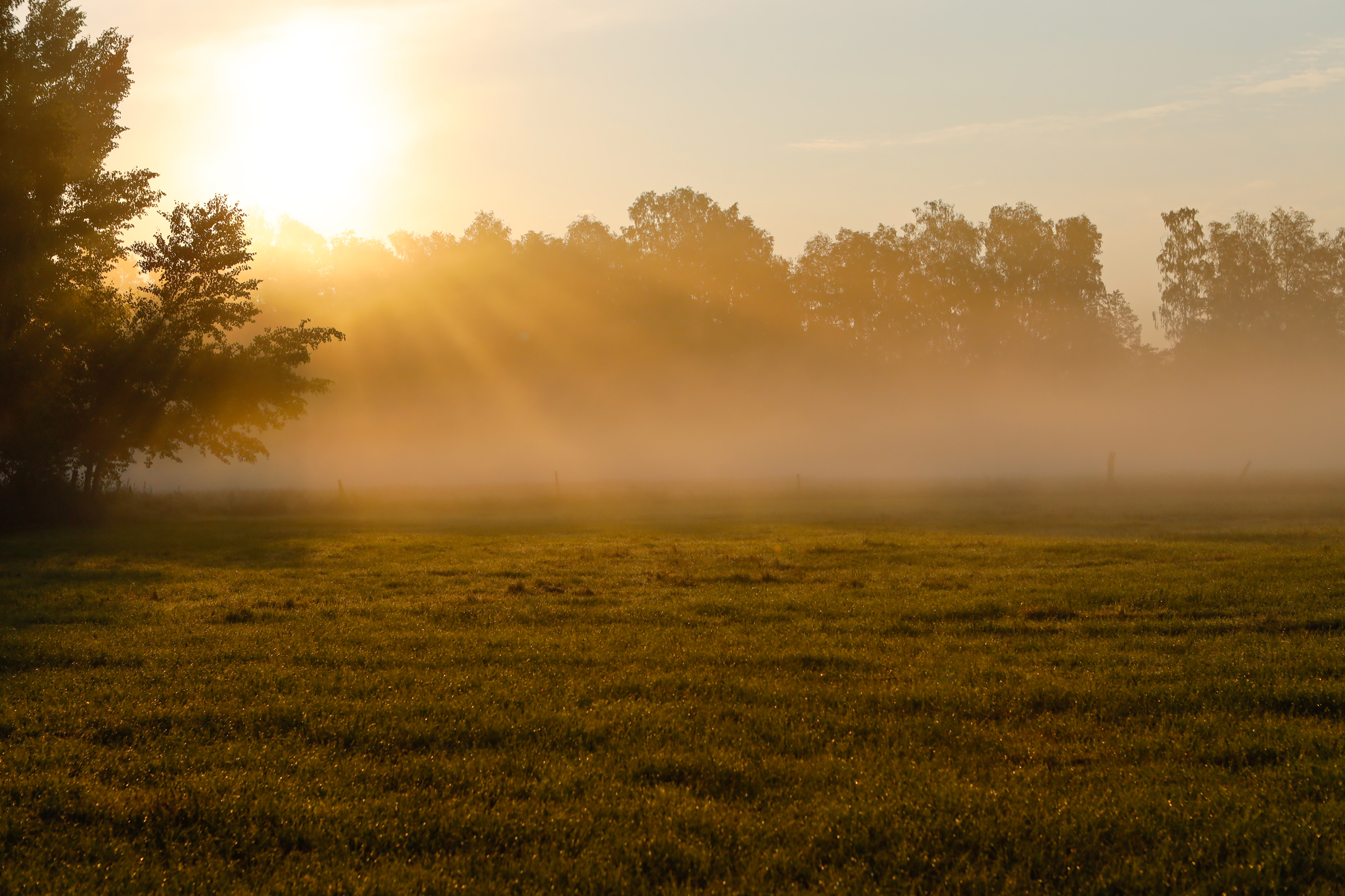 Sonnenaufgang_Nebel