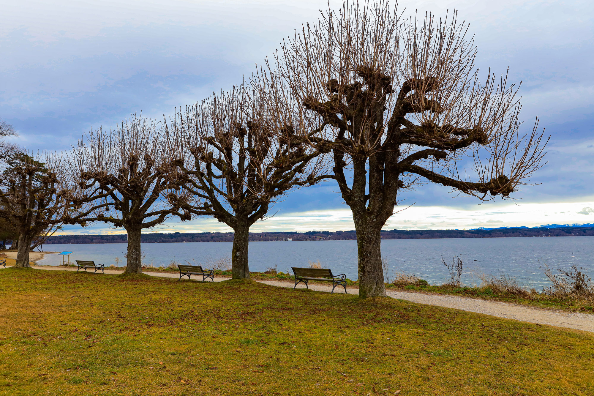 Starnberg2000