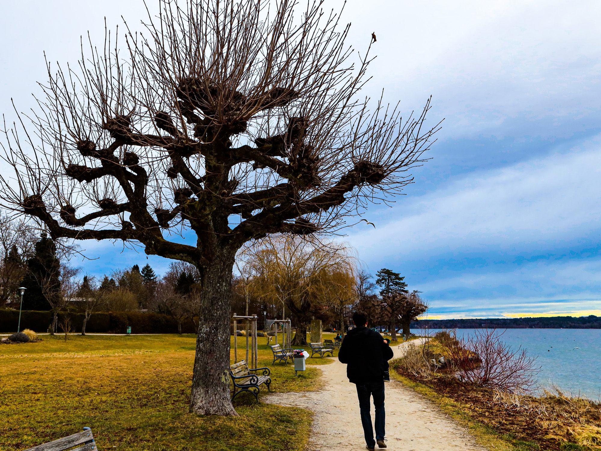 Starnberger See2000
