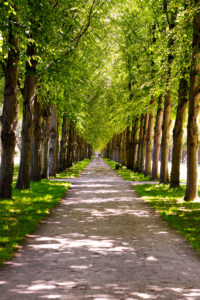 Allee kl