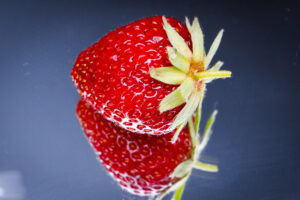 Erdbeere einzeln kl Mohnblume