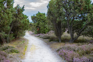 Heide9523kl